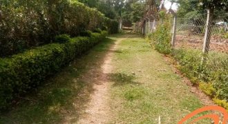 1 Economical Residential Plot for Sale in Milimani Bungoma